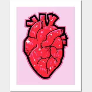 Anatomical heart red and pink Posters and Art